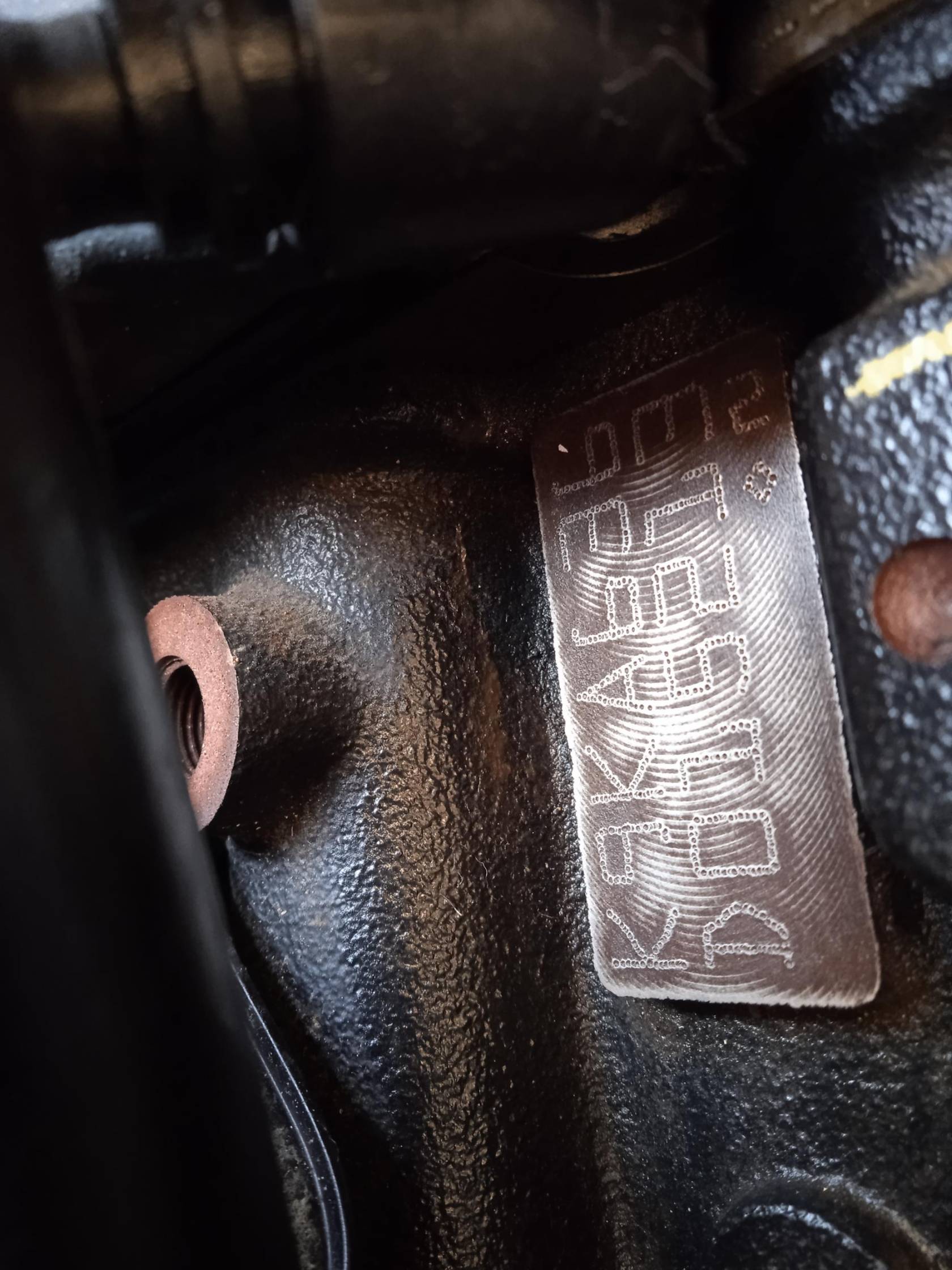 Semialbero ant. compl. dx.